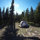 Review photo of Savage River Campground — Denali National Park by Dave G., July 7, 2018