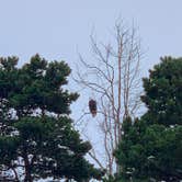 Review photo of Fort Flagler Historical State Park Campground by Jen G., November 23, 2021