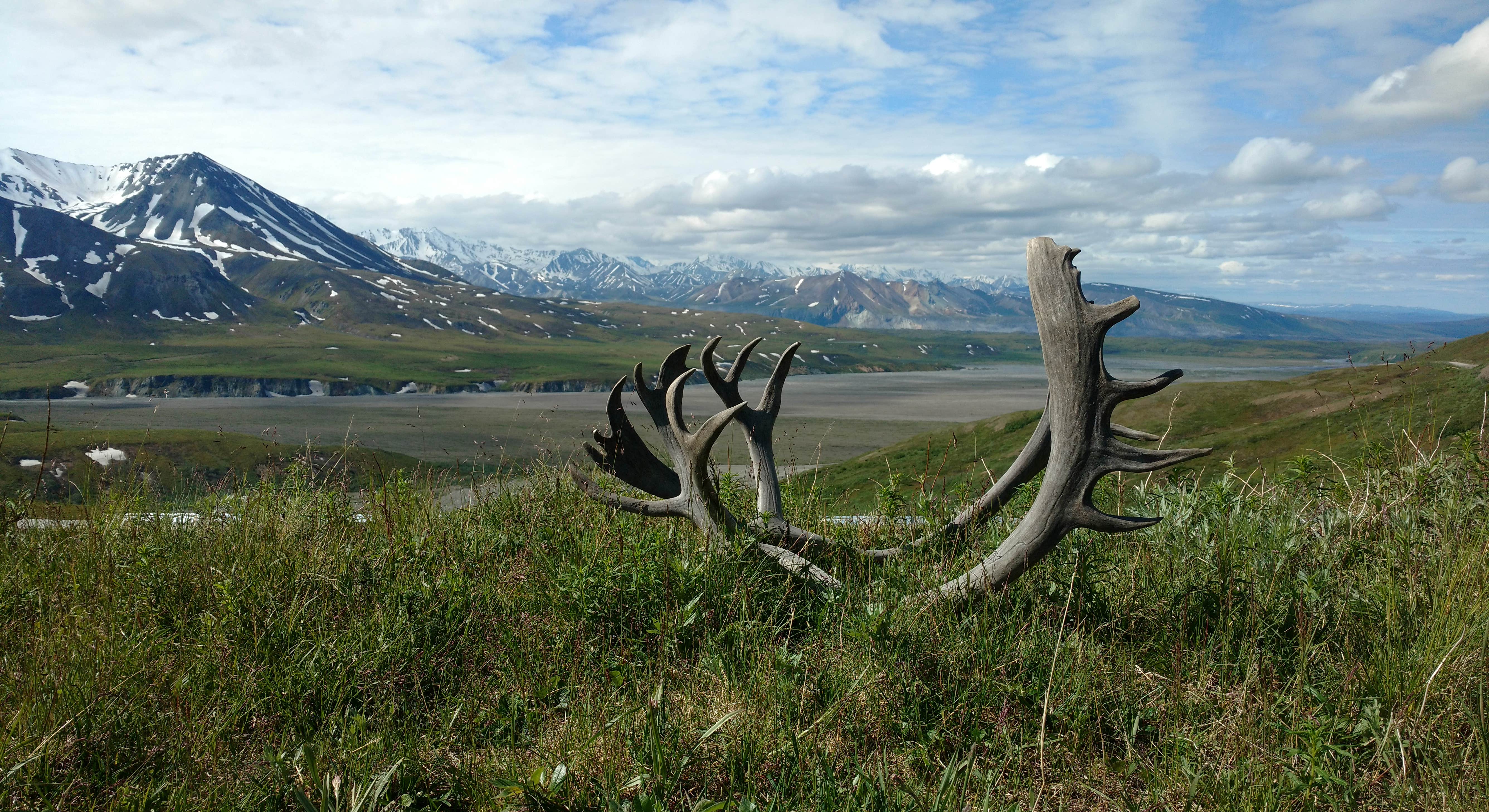 Amazing Landscape View Near Savage River Campground in Denali National Park