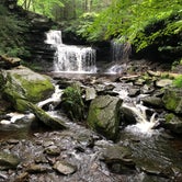 Review photo of Ricketts Glen State Park Campground by Kayleigh K., July 7, 2018