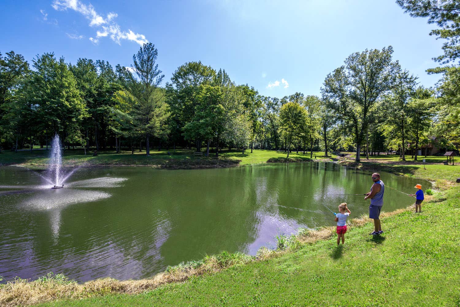 Camper submitted image from Olive Branch Campground - 1