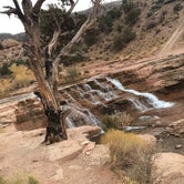 Review photo of Toquerville Falls Primitive by amber N., November 23, 2021