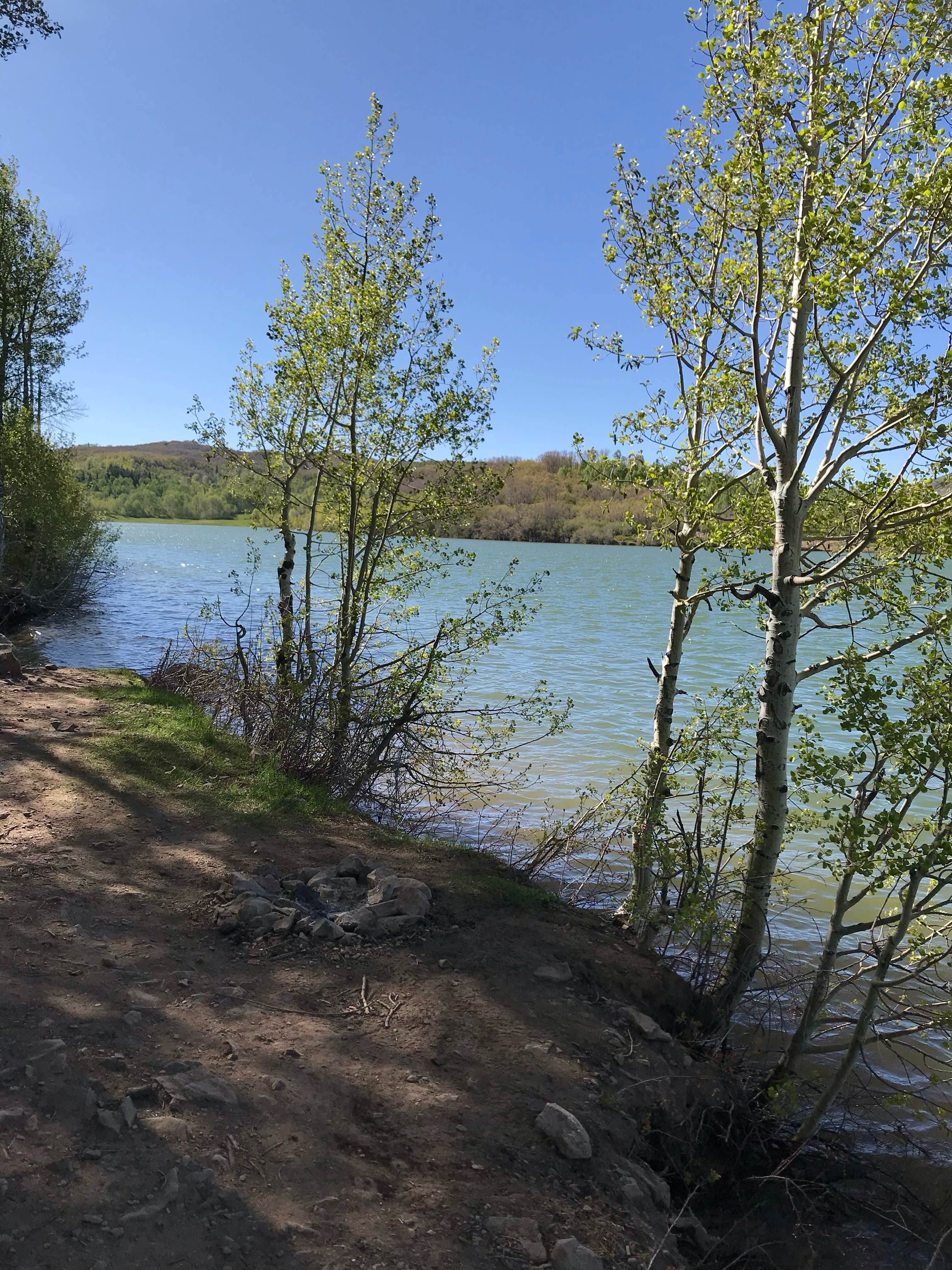 amber N.'s photo of a dispersed camping area at Kolob Resevoir near Kanarraville, UT