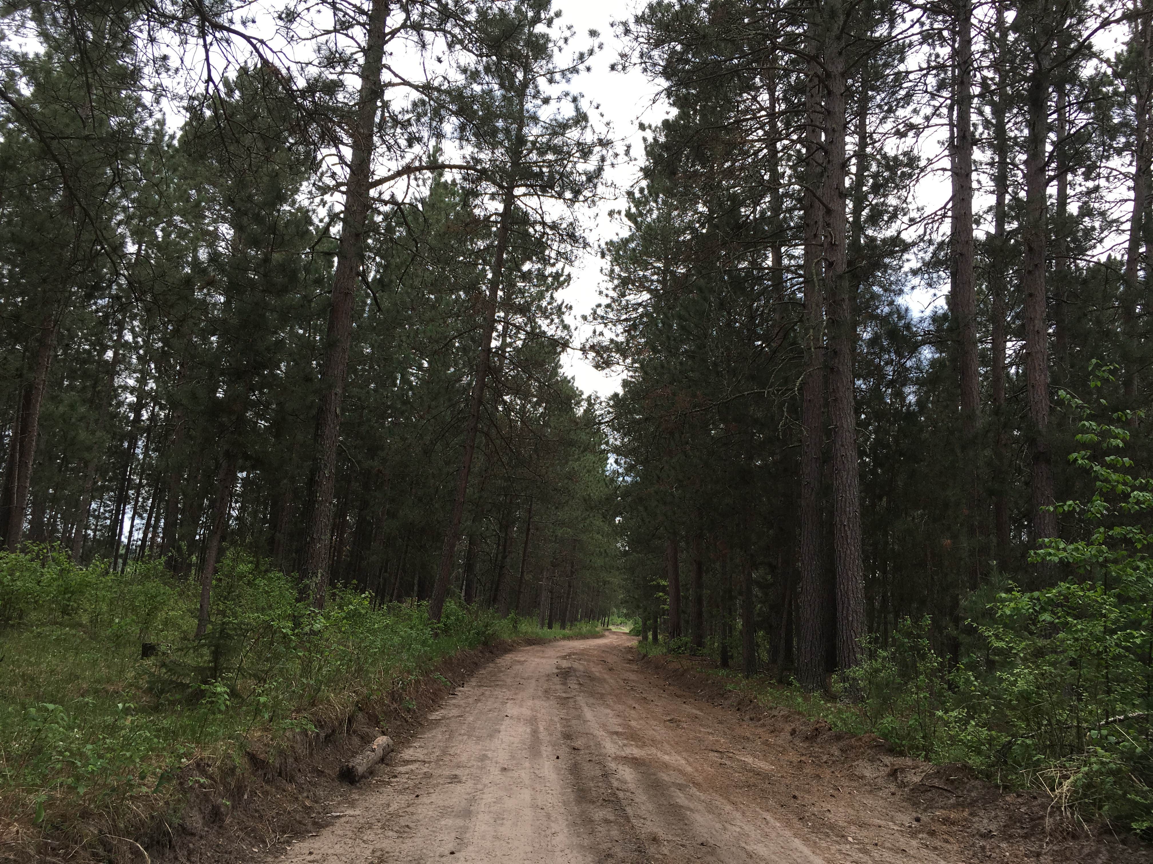 Roads