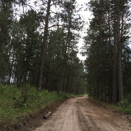County forest road into Bear Den landing