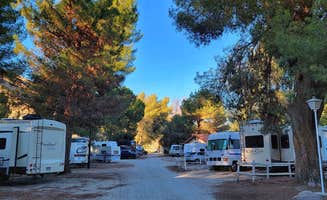 Derek & Alex W.'s photo at Thousand Trails Soledad Canyon near Angeles National Forest