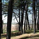 Review photo of Bear Den Landing Canoe Camp by Janet R., July 7, 2018