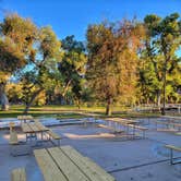 Review photo of Thousand Trails Soledad Canyon by Derek & Alex W., November 23, 2021