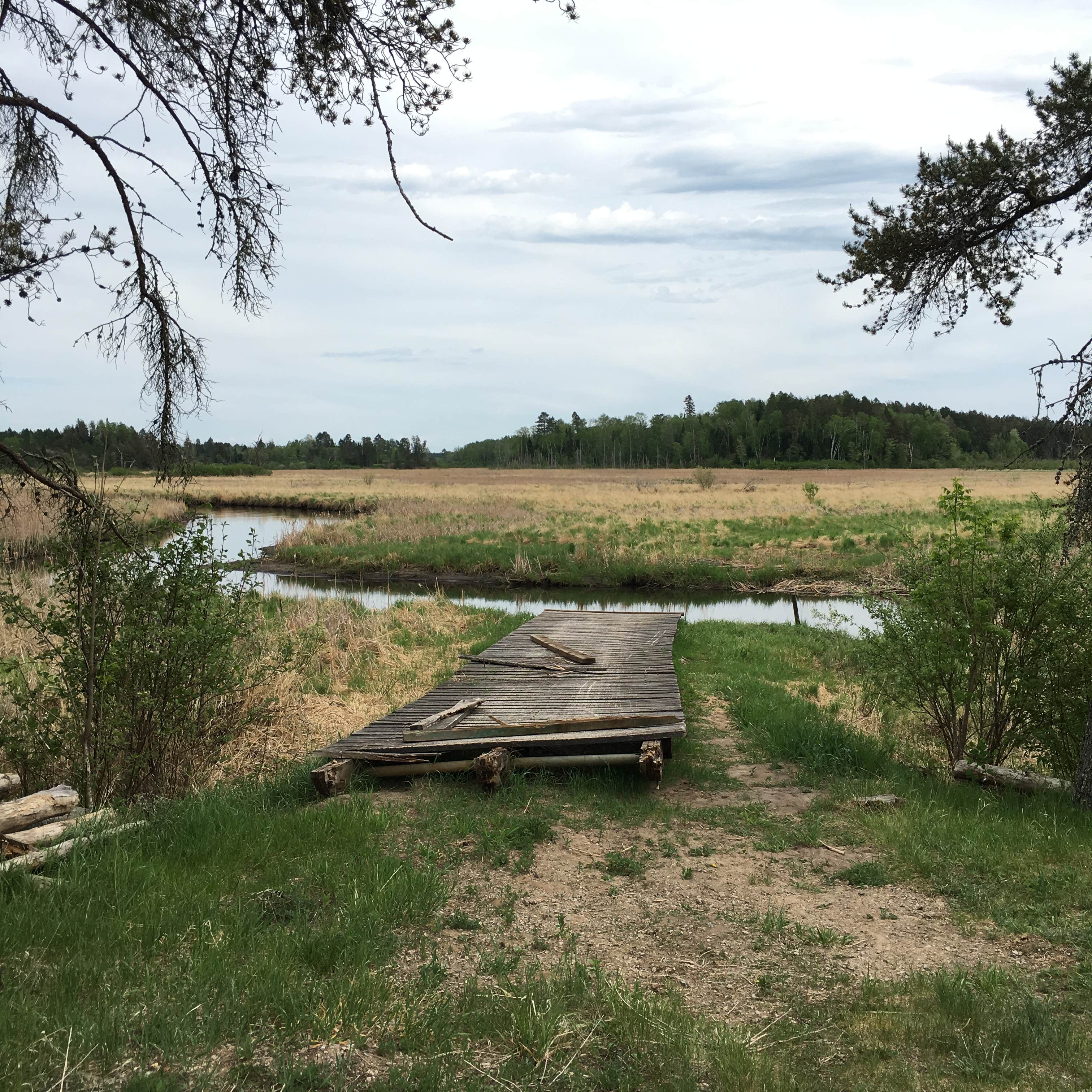 Camper submitted image from Bear Den Landing Canoe Camp - 5