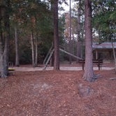 Review photo of COE Walter F George Lake White Oak Creek Campground by Mimi , November 23, 2021