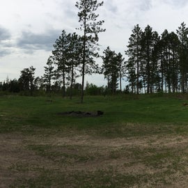 Campsite is now pretty barren of trees
