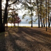 Review photo of COE Okatibbee Lake Twiltley Branch Campground by Mimi , November 23, 2021