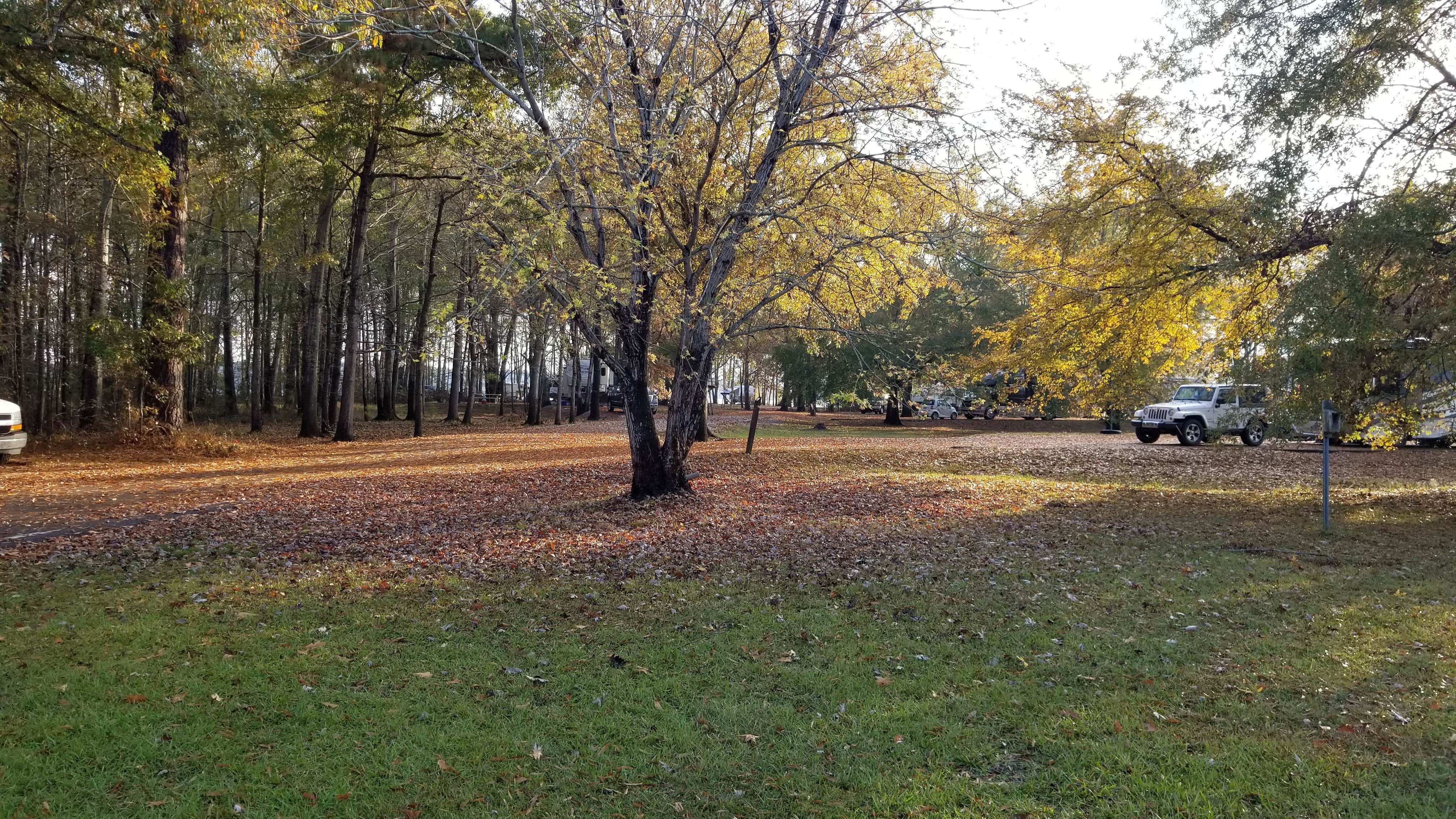 Camper-submitted photo at COE Okatibbee Lake Twiltley Branch Campground near Enterprise, MS