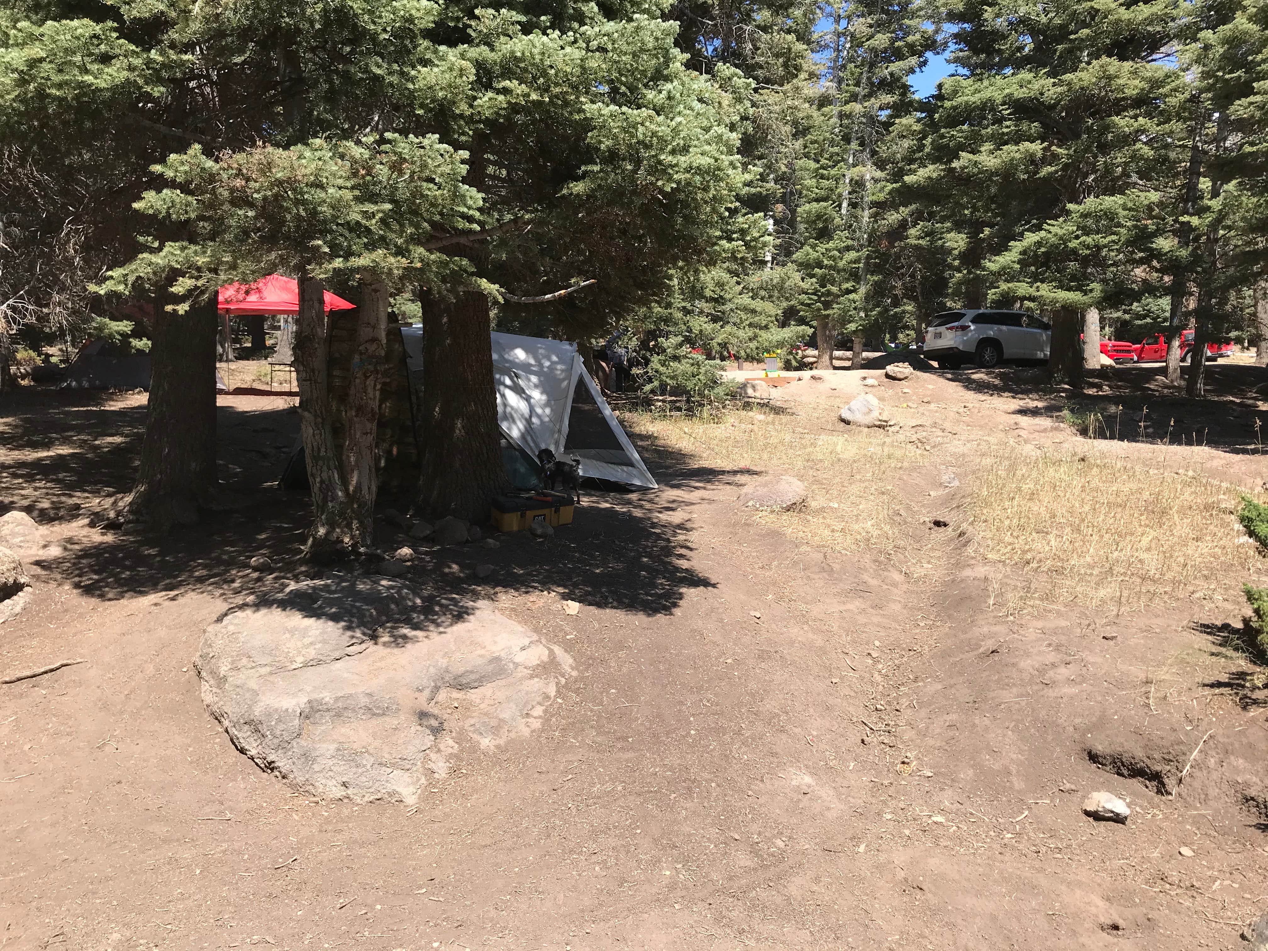 Fishlake National Forest Mahogany Cove Rec Site Camping The Dyrt