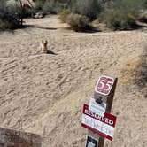 Review photo of Jumbo Rocks Campground — Joshua Tree National Park by Marissa , November 24, 2021