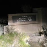 Review photo of Jumbo Rocks Campground — Joshua Tree National Park by Marissa , November 24, 2021