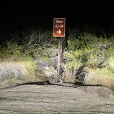 Review photo of Jumbo Rocks Campground — Joshua Tree National Park by Marissa , November 24, 2021