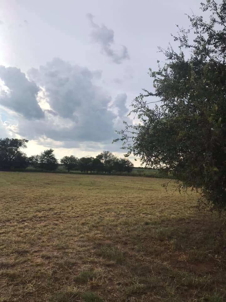 Camper-submitted photo at White's Creek Hunting Lodge near Altus, OK