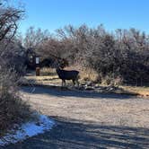 Review photo of South Rim Campground — Black Canyon of the Gunnison National Park by Brandon L., November 24, 2021