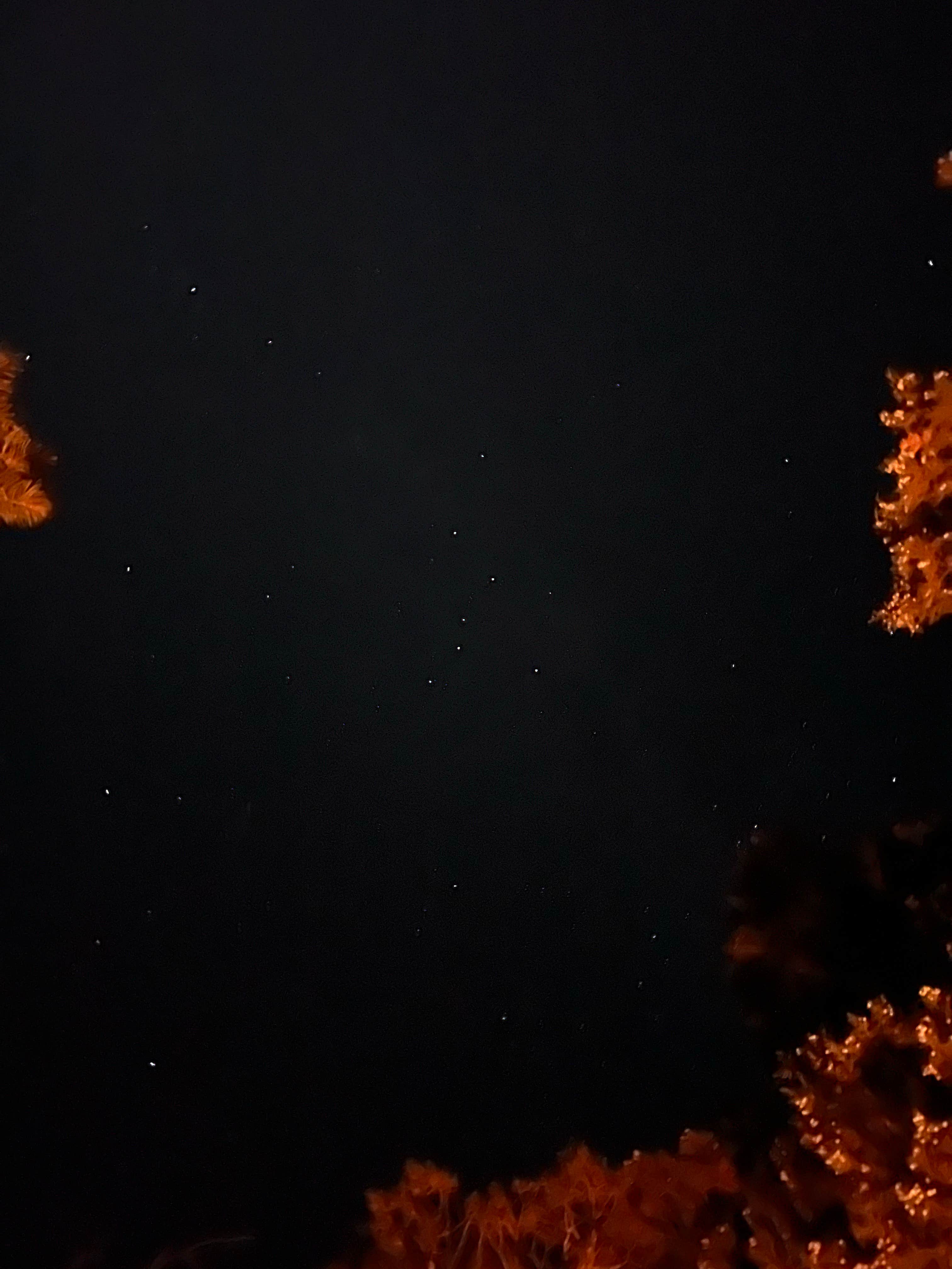 Camper-submitted photo at Mesa Verde National Park Boundary (BLM Land) near Shiprock, NM