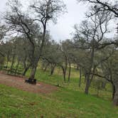 Review photo of Acorn Campground by Lloyd G., November 24, 2021