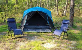 Ashley R.'s photo at Godfrey Bridge — Wharton State Forest near Port Republic, NJ