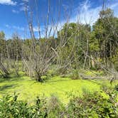 Review photo of Sakatah Lake State Park Campground by Edward S., November 24, 2021