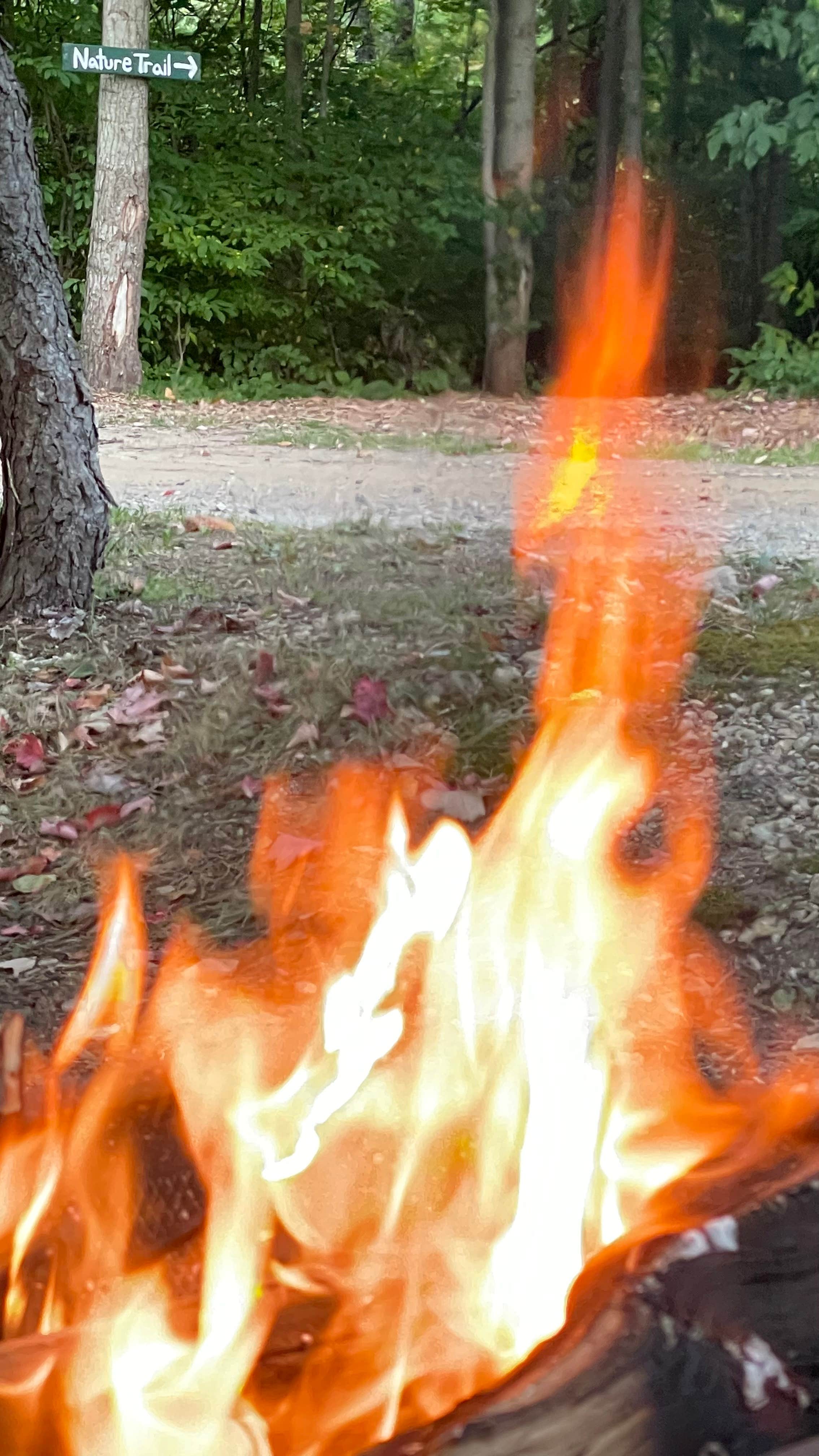 Camping near Sunny Brook RV Resort: Campit Outdoor Resort Saugatuck, Fennville, Michigan