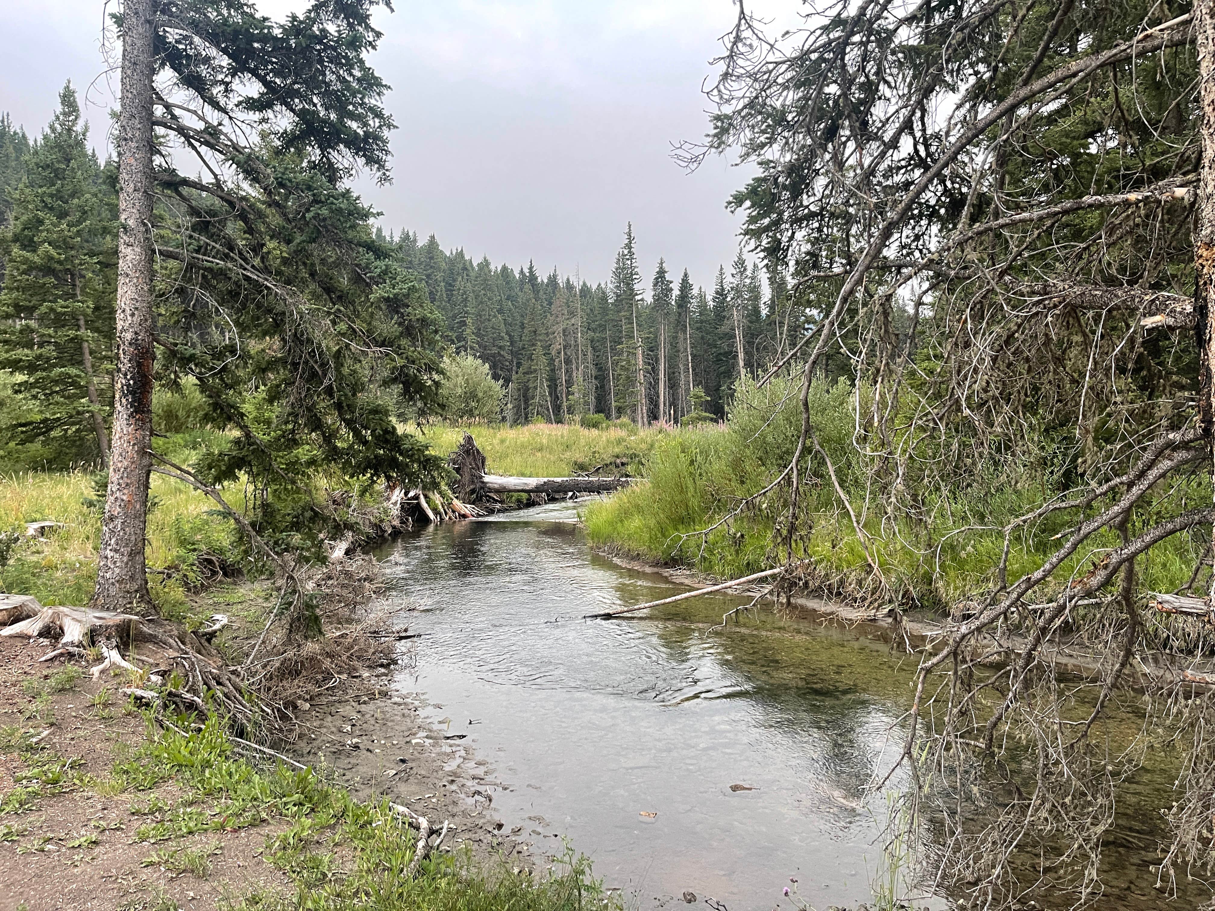 Camper-submitted photo at Jumping Creek Campground near Monarch, MT