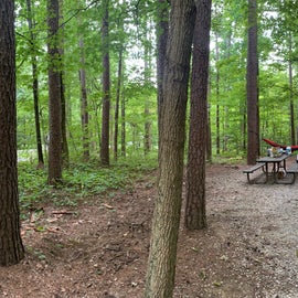 Panorama of our camp site