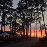 Review photo of Sun Outdoors Cape Charles by Stacey G., November 24, 2021