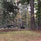 Review photo of Valentine Lake Northshore Campground by N I., November 24, 2021