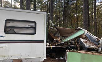 N I.'s photo of rv camping at Corney Lake South Shore Campground near Ruston, LA