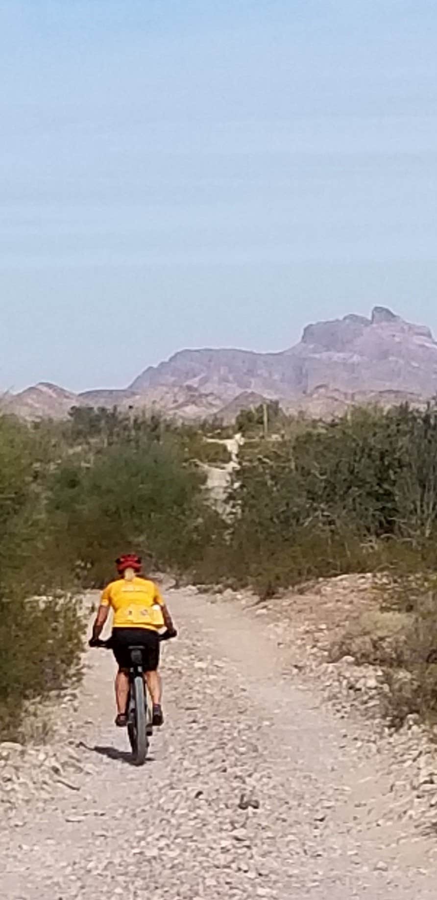 Camper submitted image from KOFA National Wildlife Refuge - King Valley Road - 5