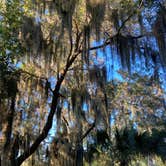 Review photo of Jekyll Island Campground by K L., November 23, 2021