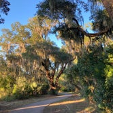 Review photo of Jekyll Island Campground by K L., November 23, 2021
