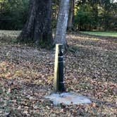 Review photo of Willow Oak by N I., November 25, 2021