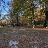 Review photo of Willow Oak by N I., November 25, 2021