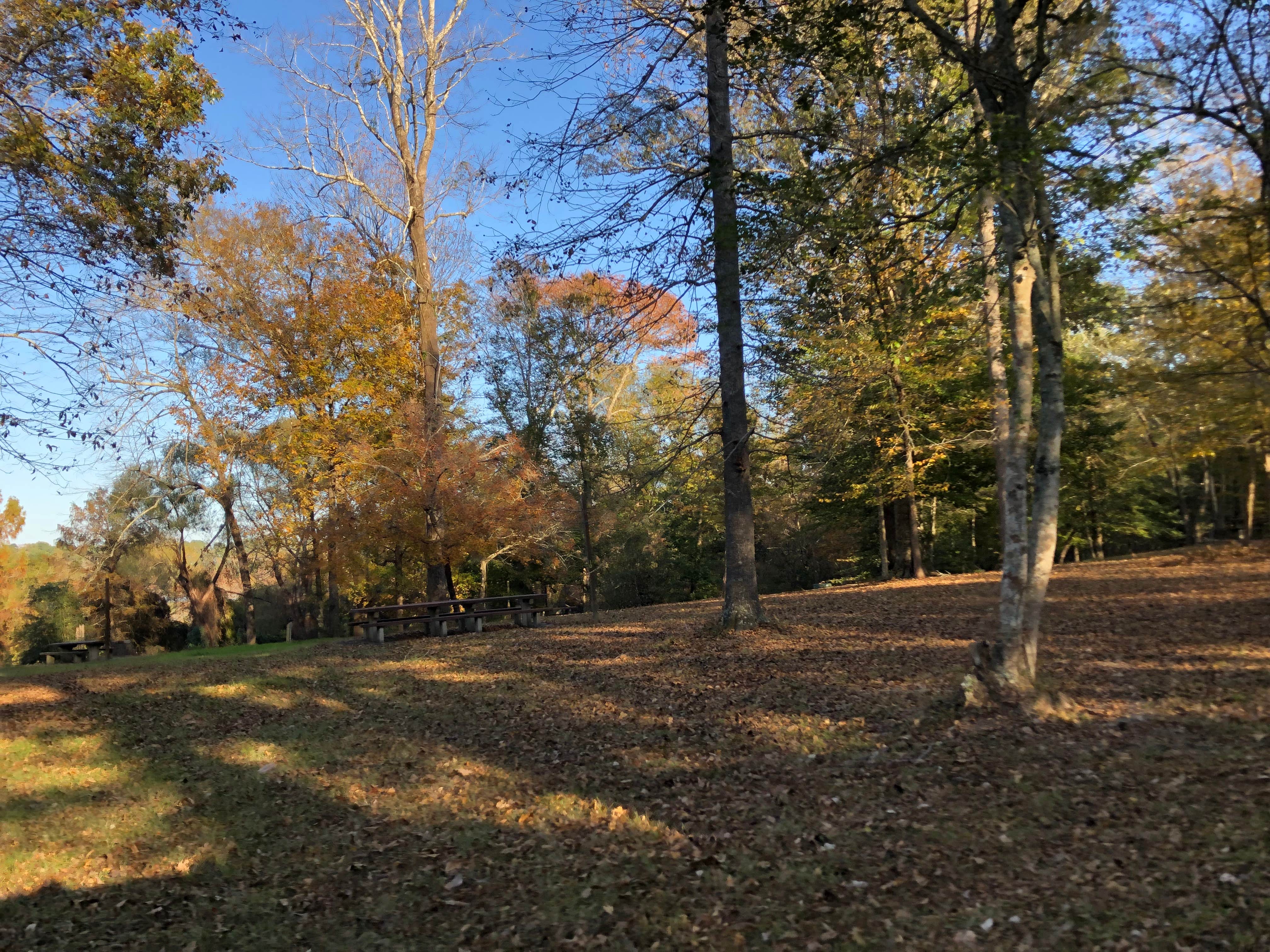 Camping near Indian Mounds Recreation Area: Willow Oak, Hemphill, Texas