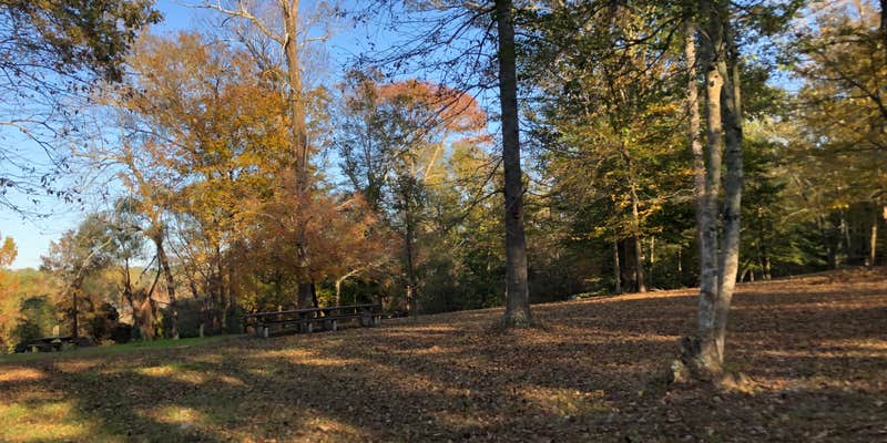 Camper submitted image from Willow Oak