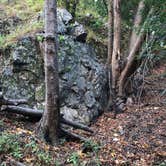 Review photo of Pfeiffer Big Sur State Park Campground by Sonia E., November 25, 2021