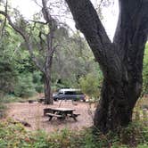 Review photo of Pfeiffer Big Sur State Park Campground by Sonia E., November 25, 2021