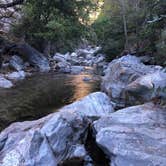 Review photo of Pfeiffer Big Sur State Park Campground by Sonia E., November 25, 2021