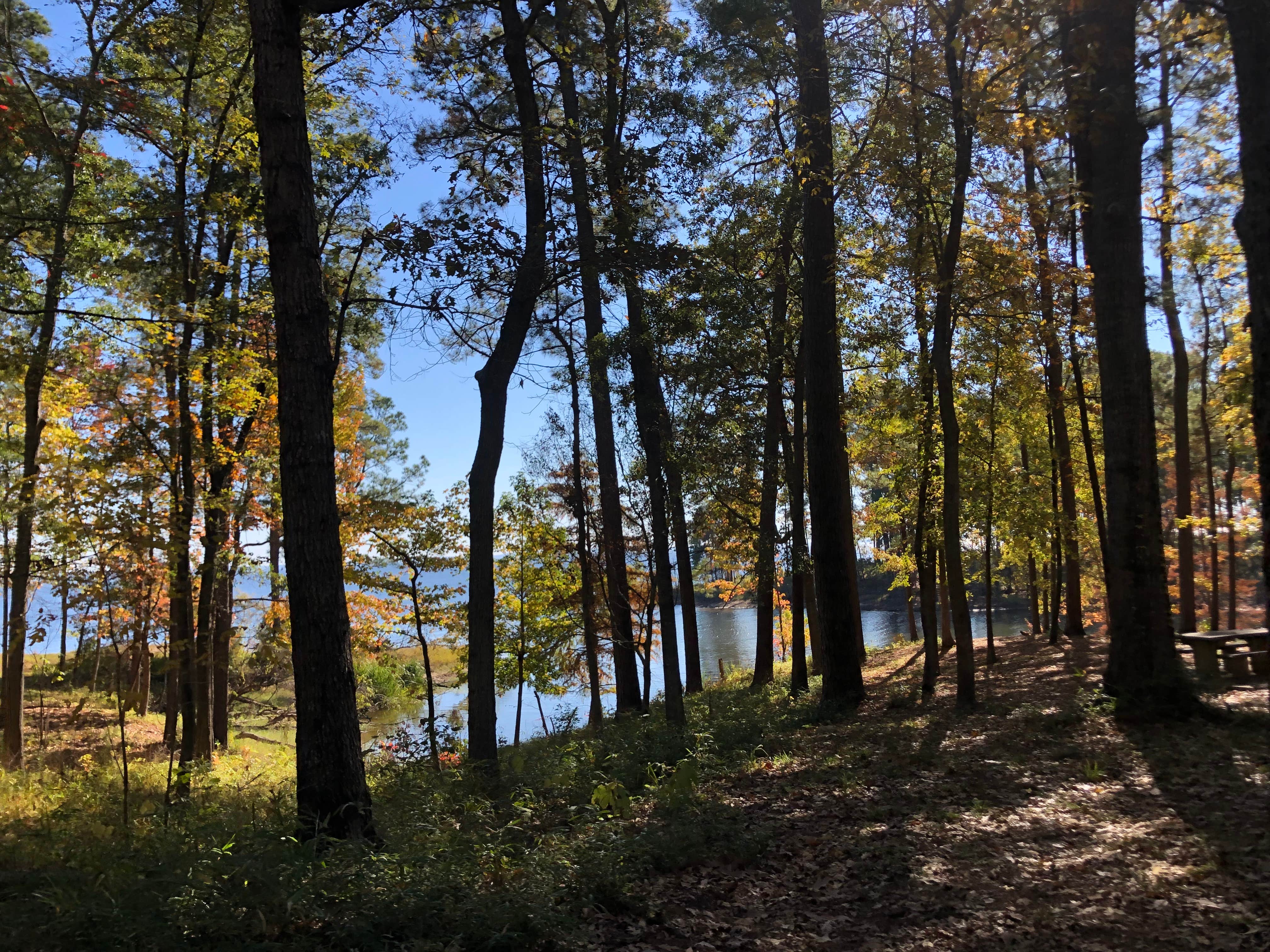 Camper-submitted photo at Indian Mounds Recreation Area near San Augustine, TX
