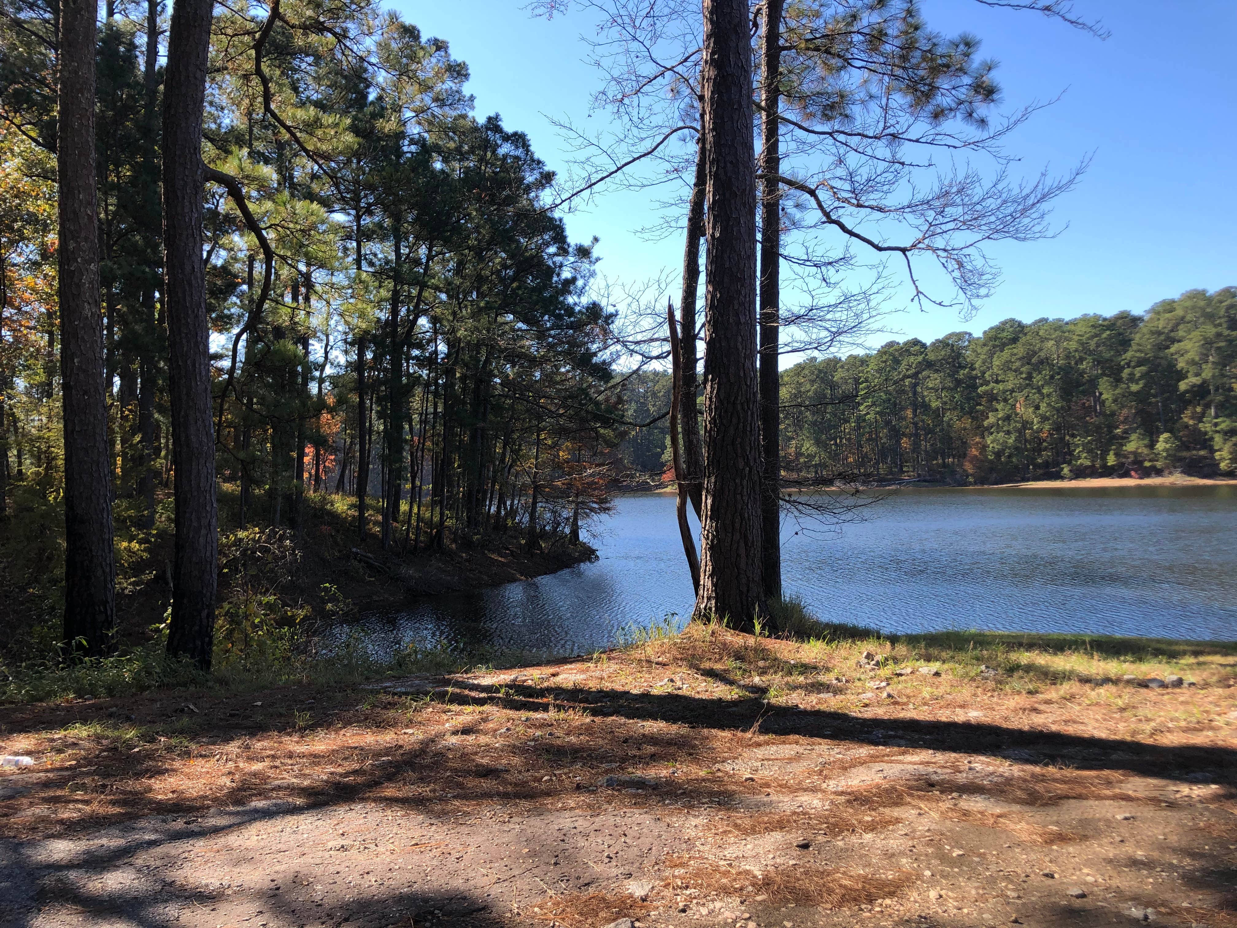 Camper-submitted photo at Indian Mounds Recreation Area near San Augustine, TX