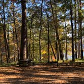 Review photo of Indian Mounds Recreation Area by N I., November 25, 2021