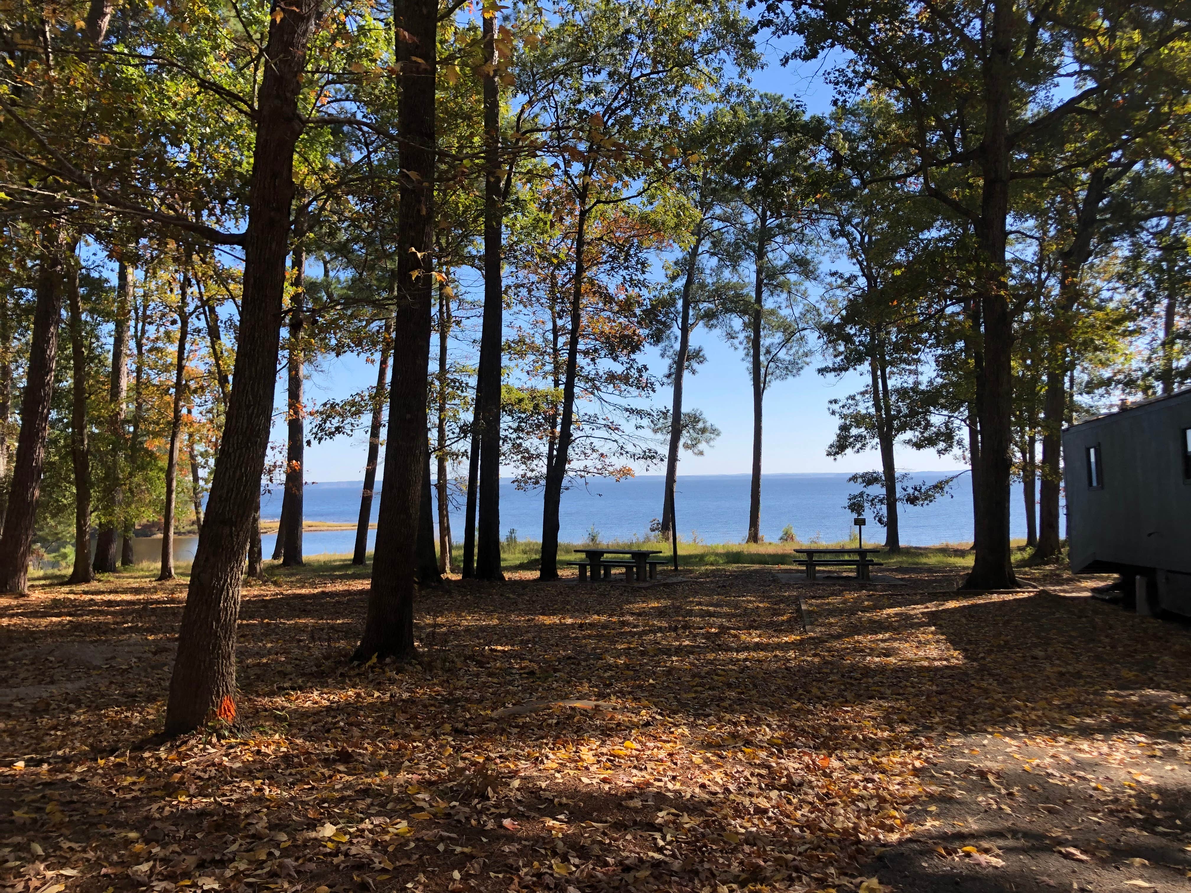 Camper-submitted photo at Indian Mounds Recreation Area near San Augustine, TX
