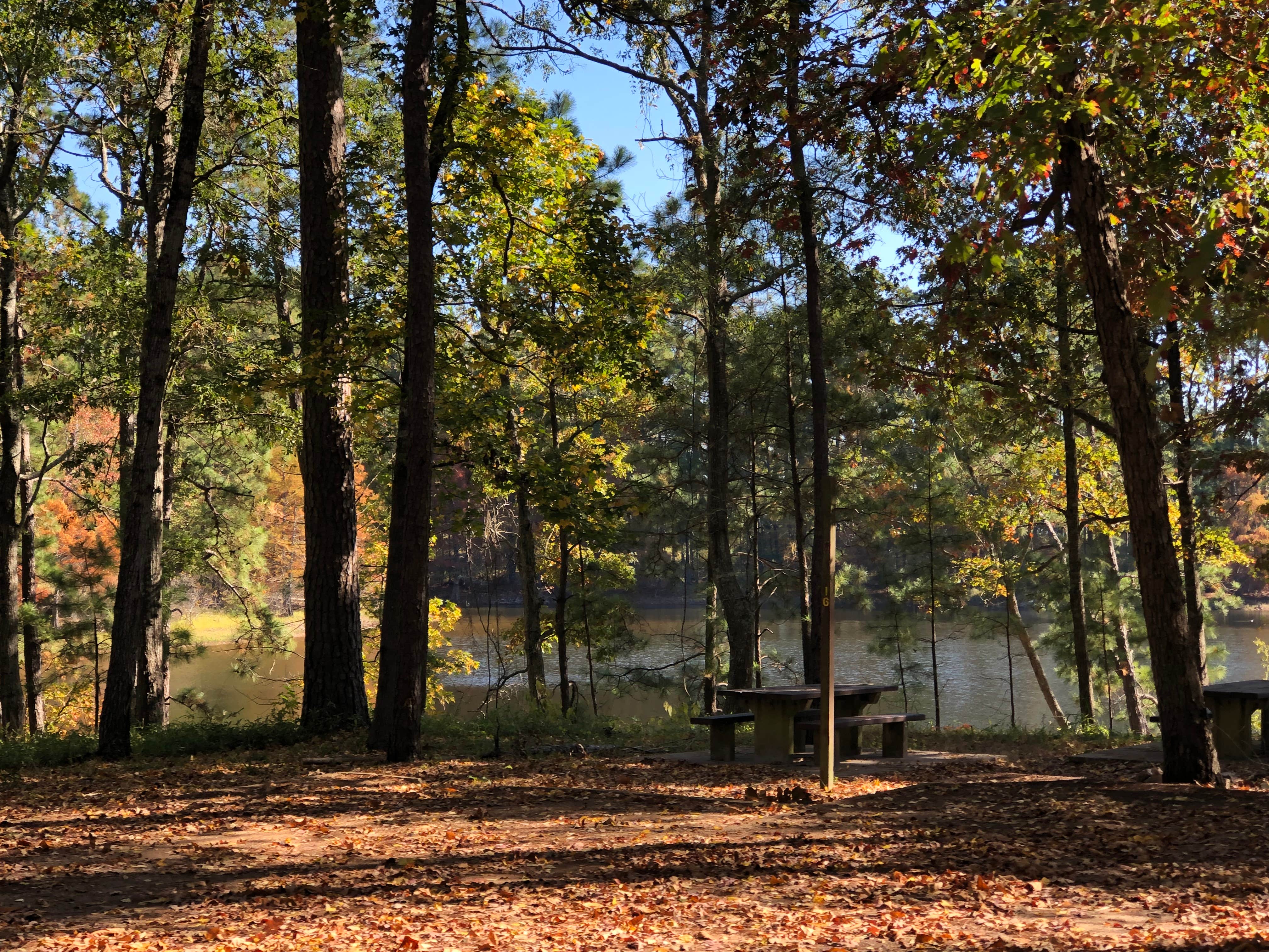 Camper-submitted photo at Indian Mounds Recreation Area near San Augustine, TX