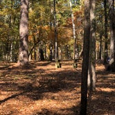 Review photo of Indian Mounds Recreation Area by N I., November 25, 2021