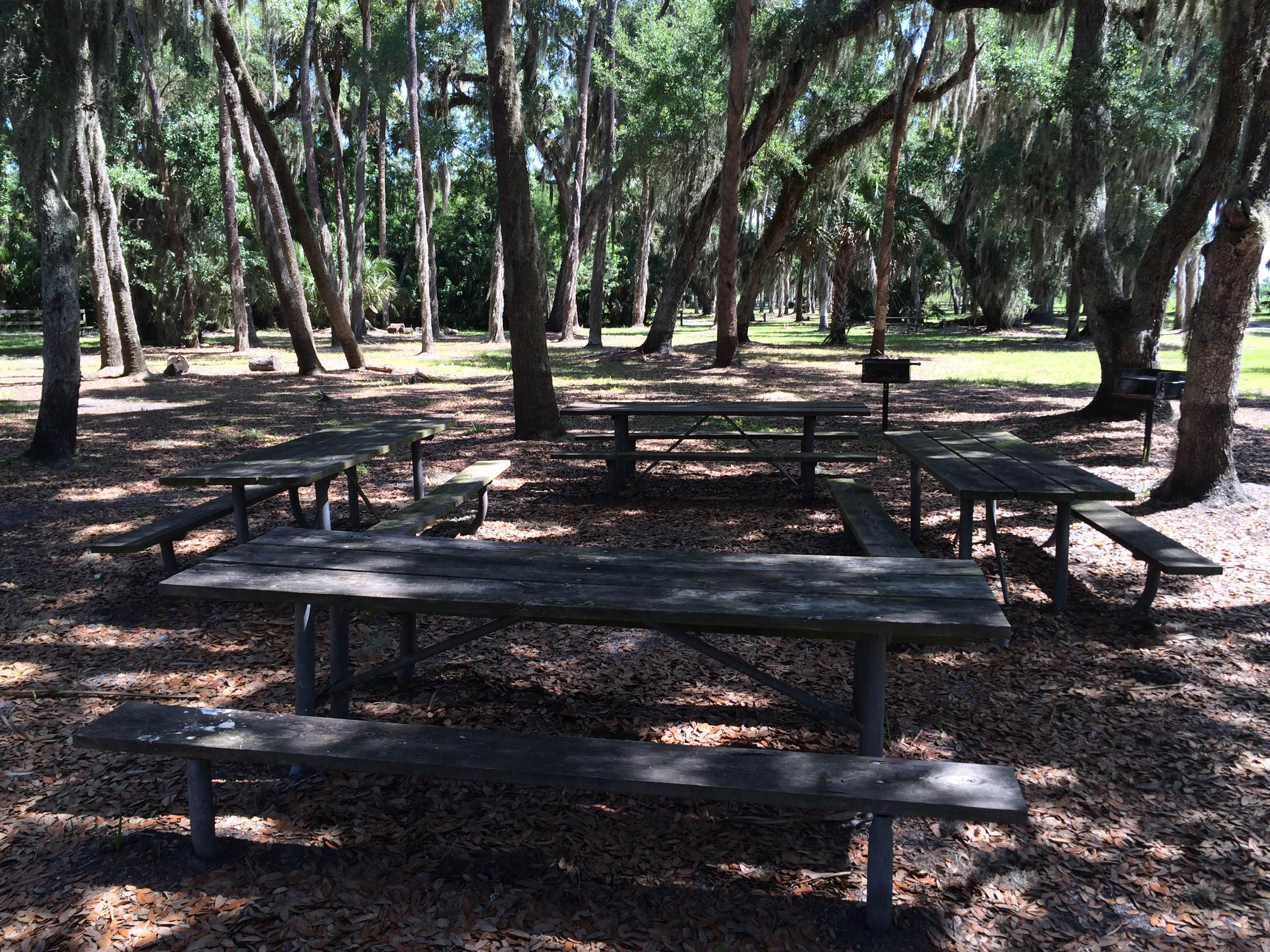 Camper-submitted photo at Mullet Lake Park near Osteen, FL